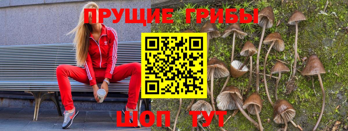 Псилоцибиновые грибы Cubensis  Вход с VPN  Орск 