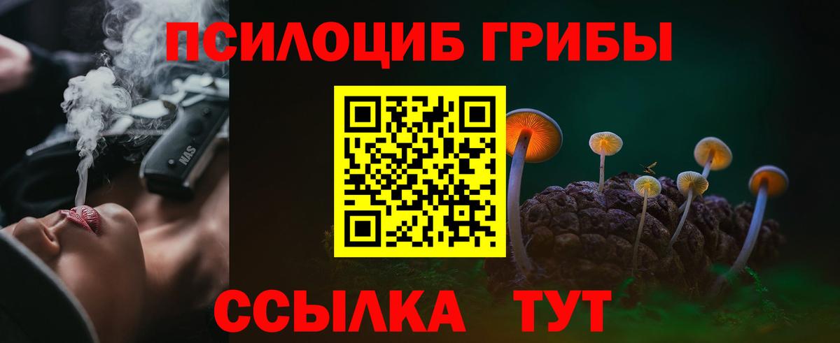 Псилоцибиновые грибы Cubensis Орск